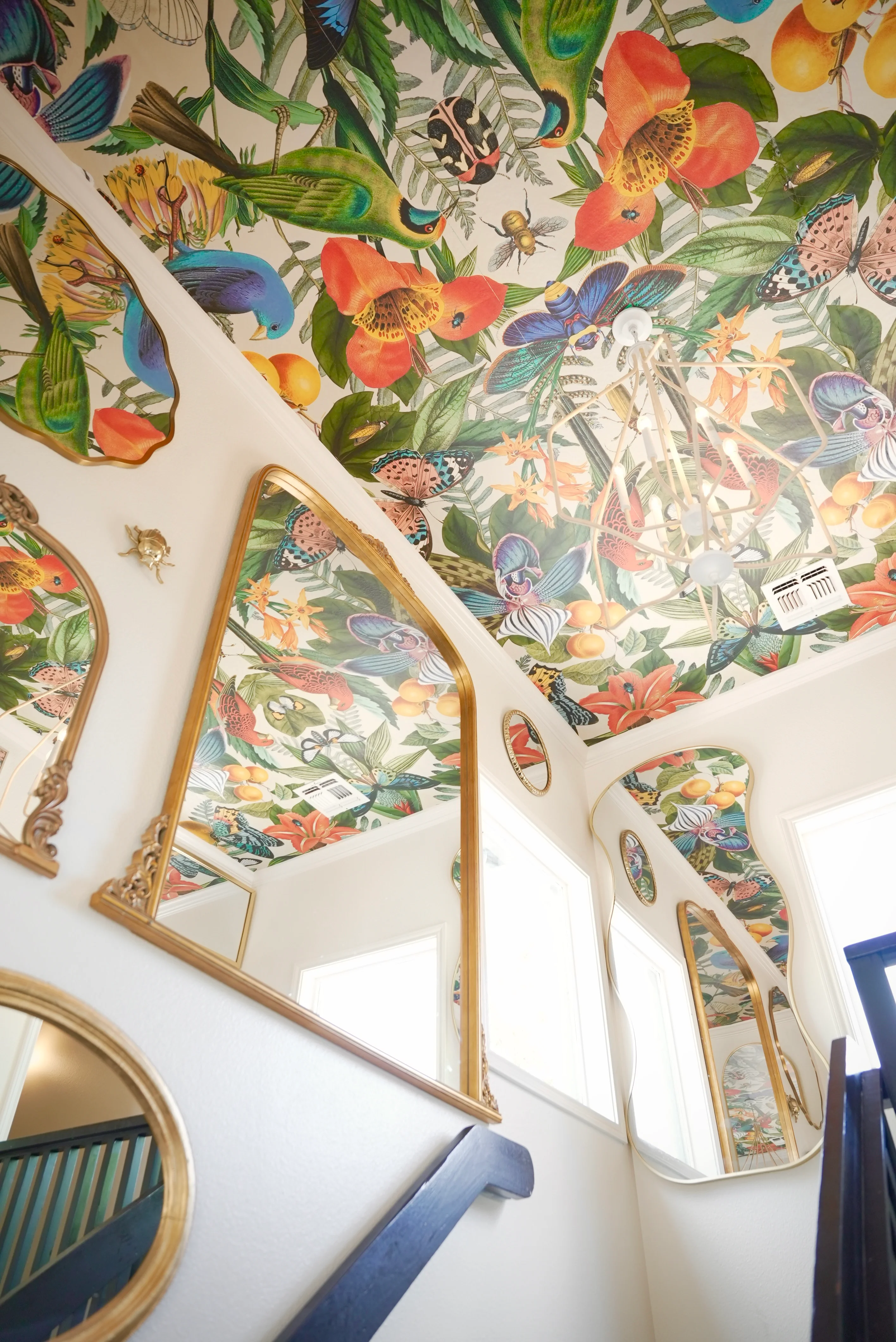 Vibrant ceiling mural with tropical birds and flowers