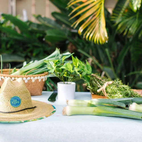 Fresh herbs and plants arranged on a table with a straw hat
