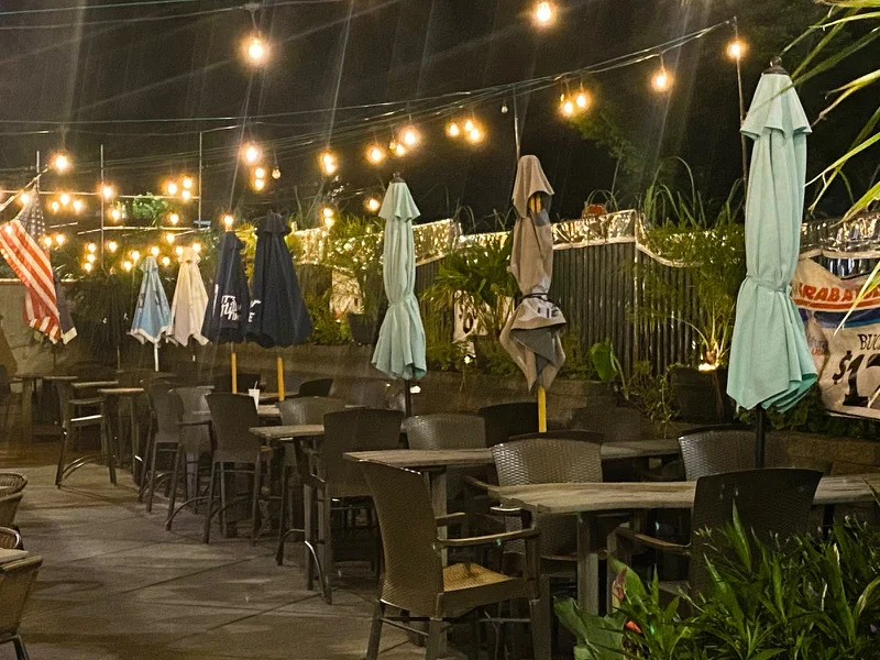Outdoor dining area with string lights and tropical plants