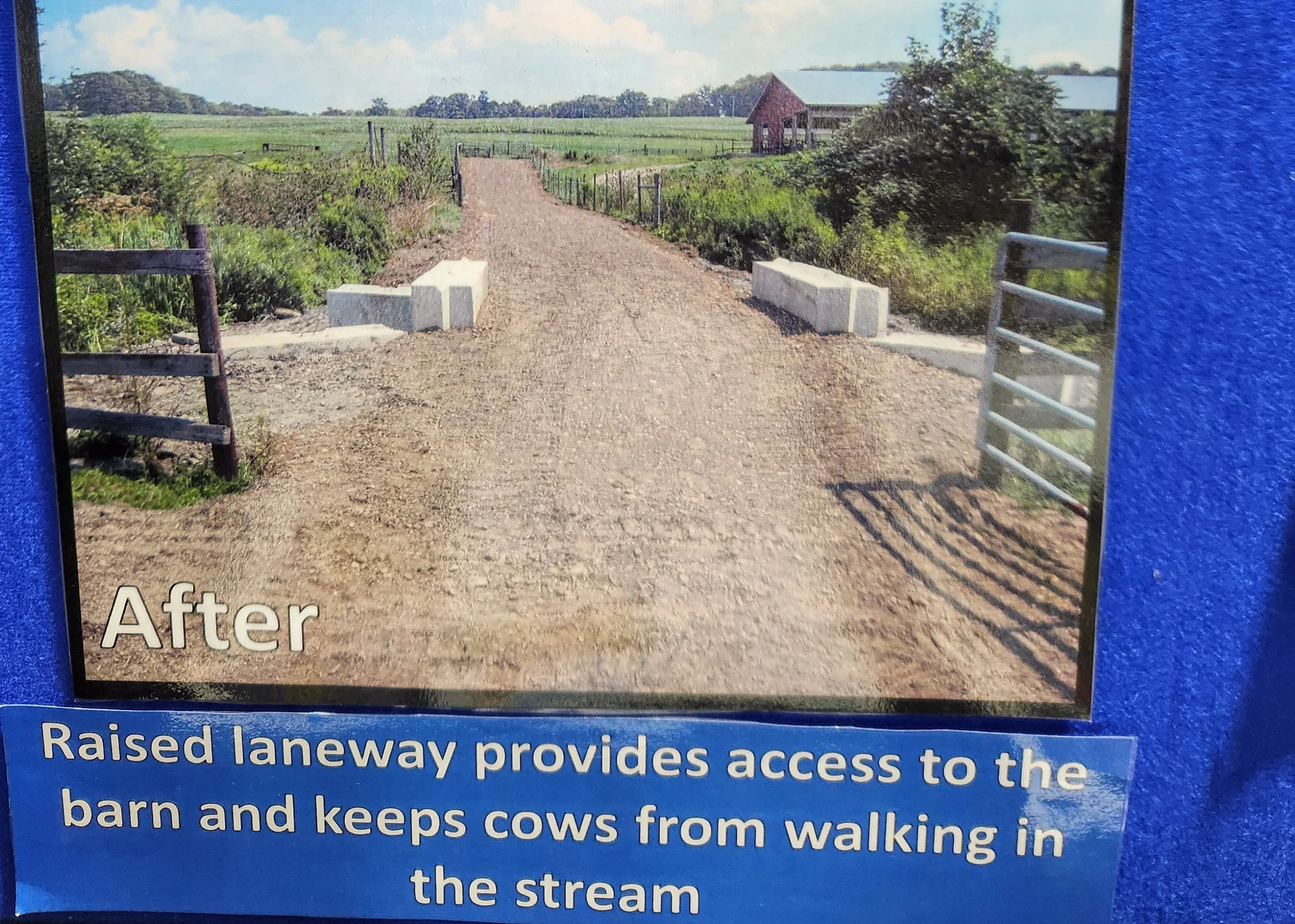 Before and after images of a farm laneway improvement project