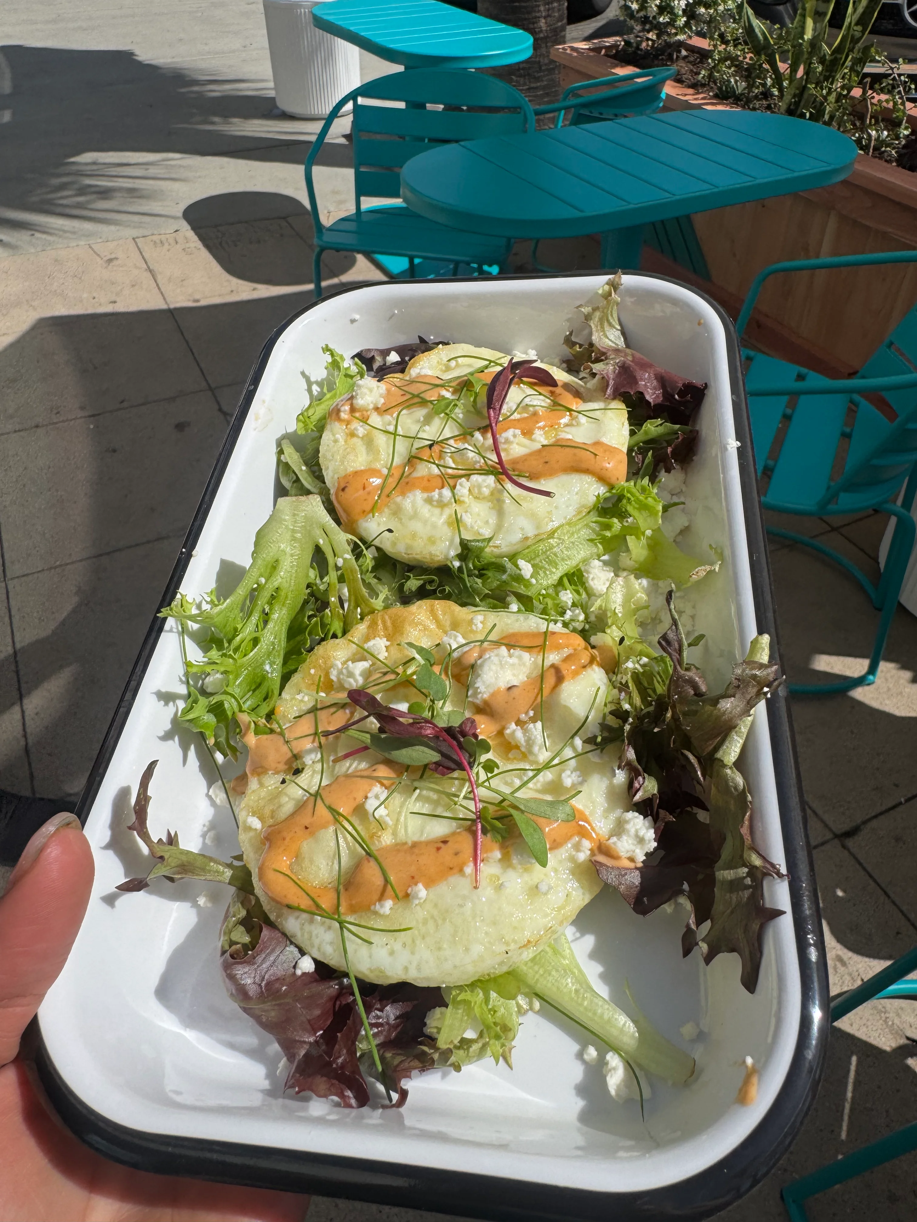Two egg dishes on a bed of mixed greens with sauce and garnishes.