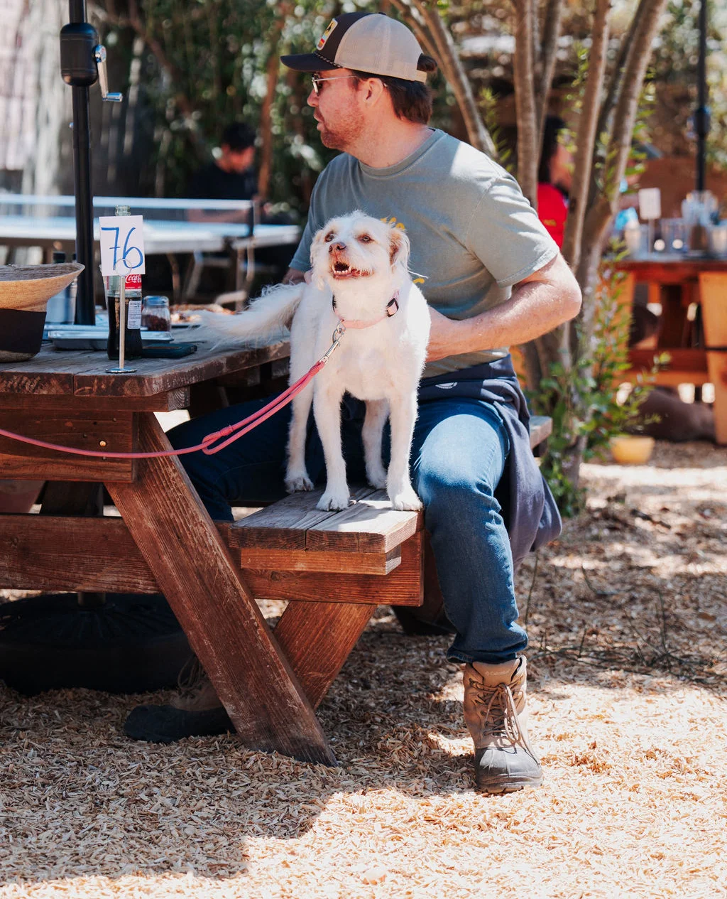 Man enjoying lunch outdoors with a dog at a rustic picnic table