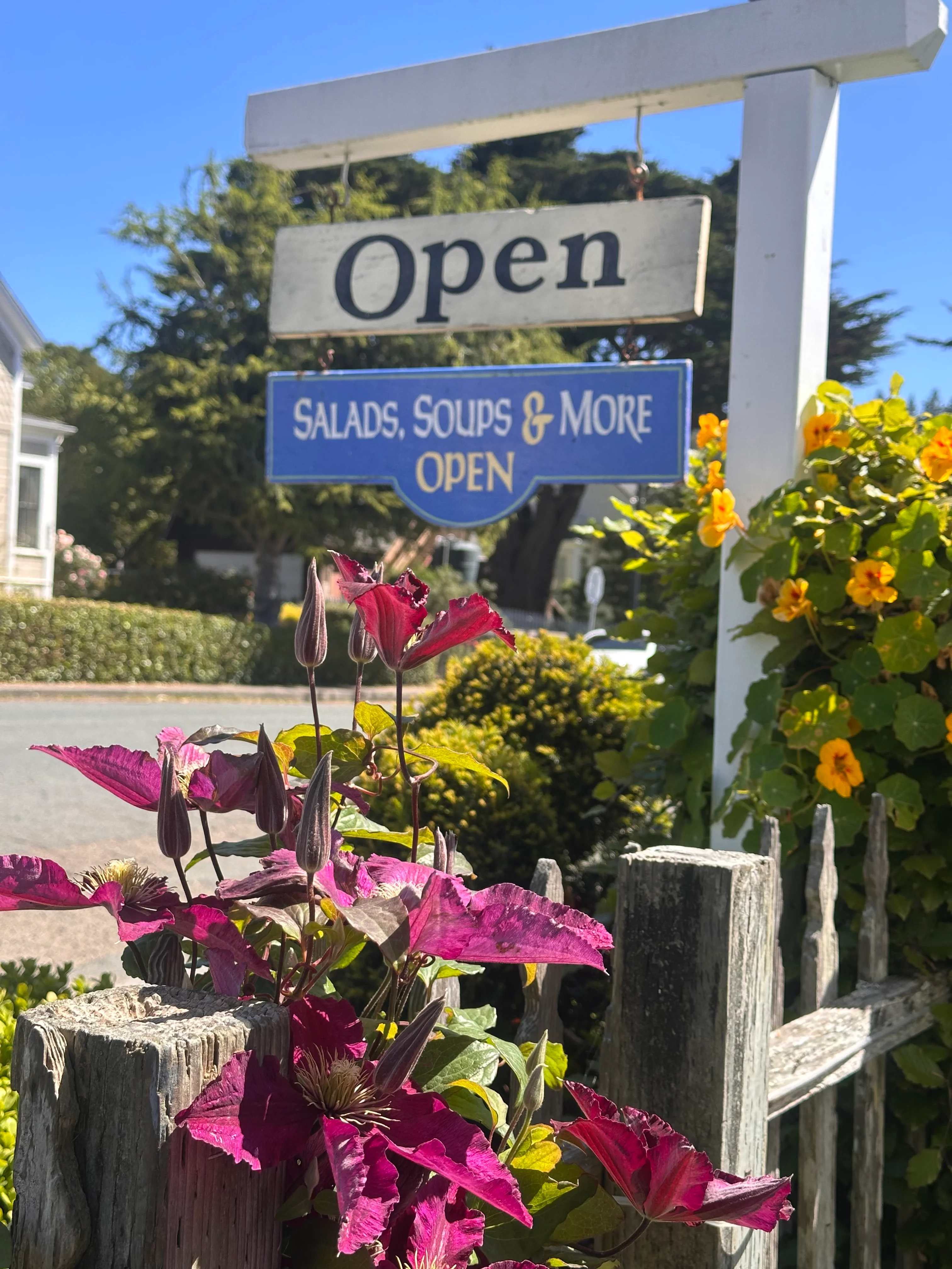 Charming restaurant entrance with flowers and open sign