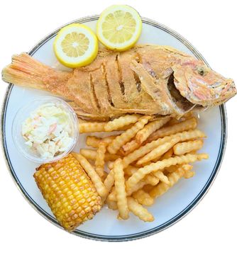 Snappaz Menu Order Online