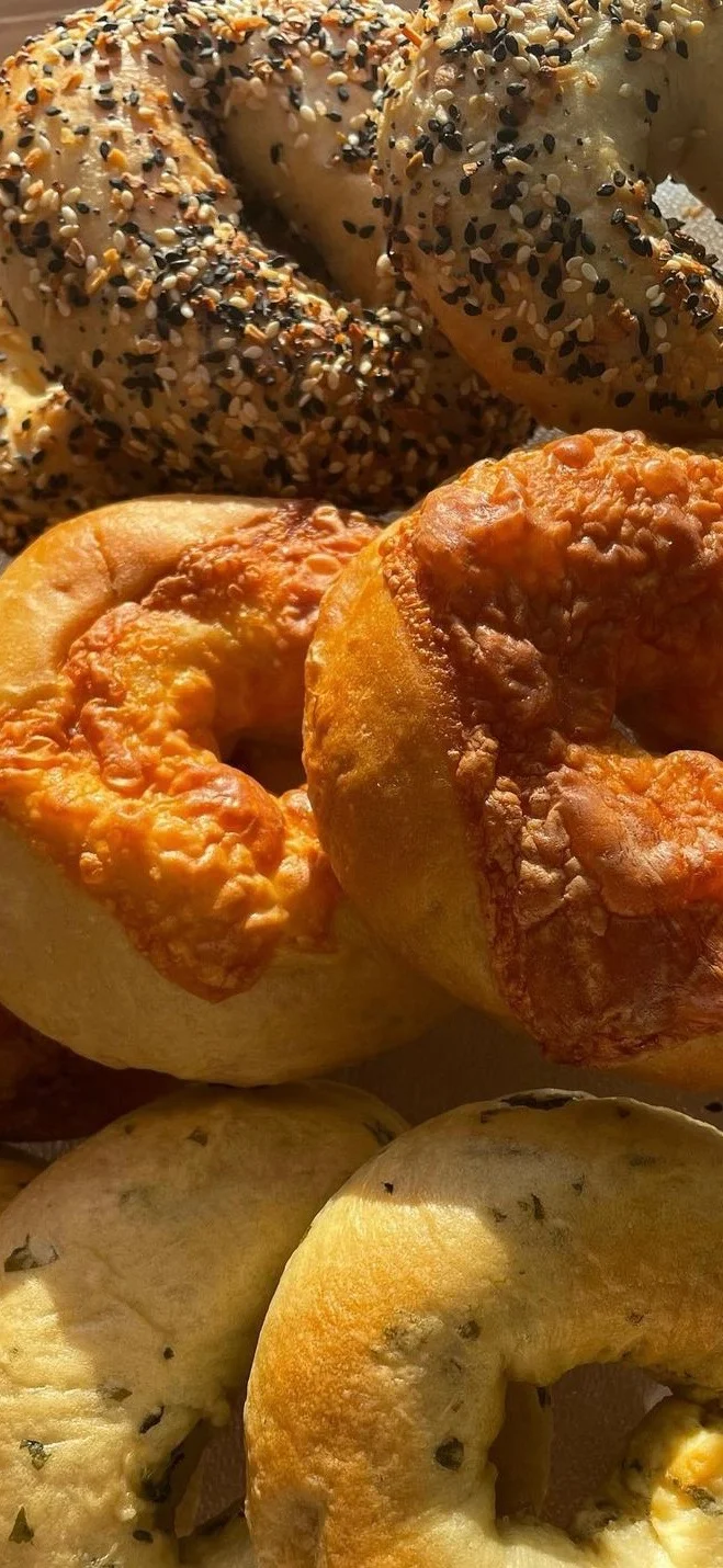 Assorted bagels including everything and cheese varieties
