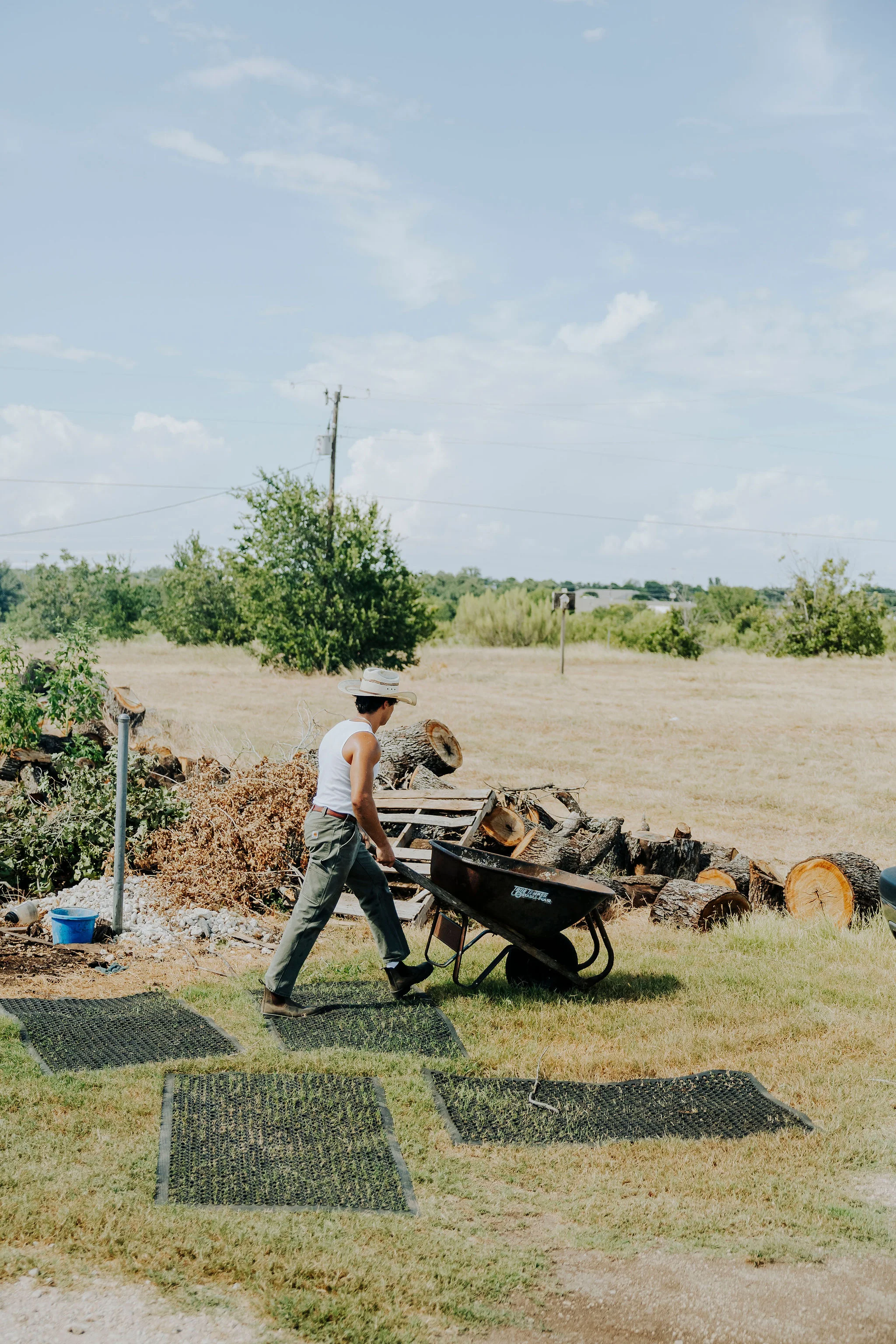 Person pushing a wheelbarrow in a rural outdoor setting with logs.