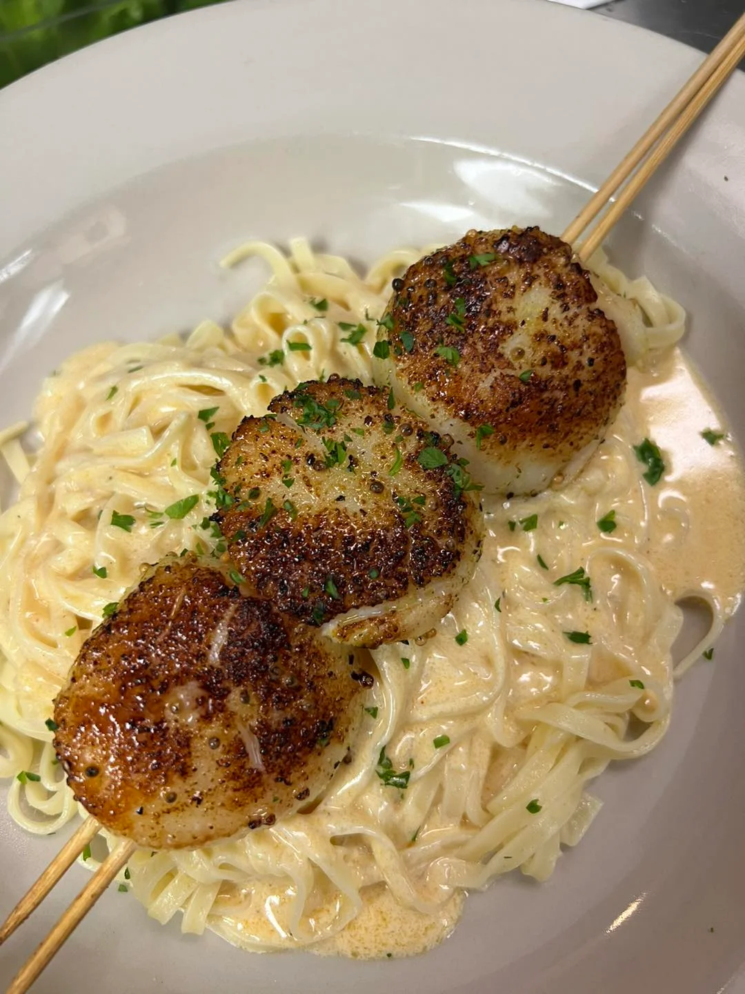 Seared scallops on fettuccine Alfredo