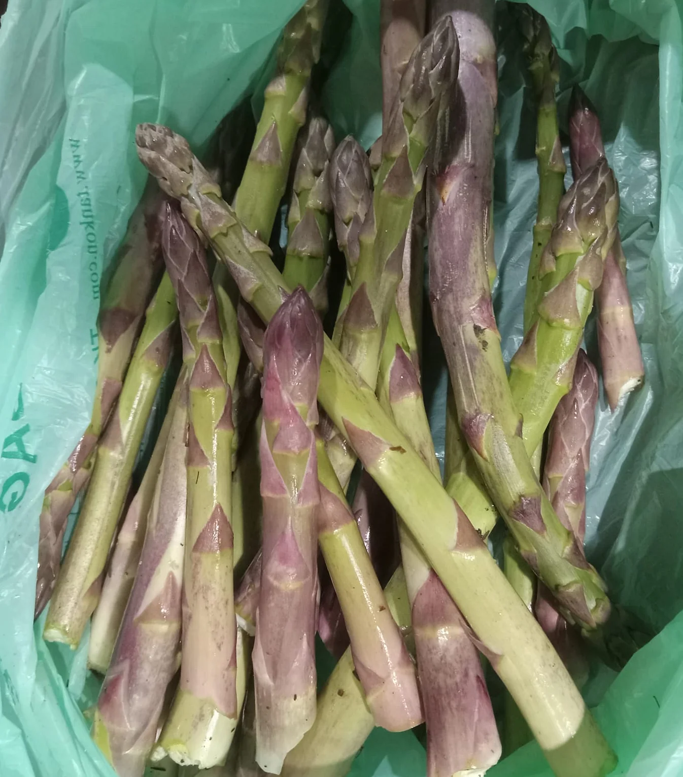 Fresh purple asparagus in a green bag