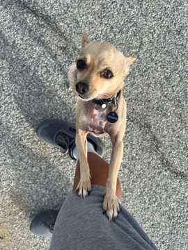 Photo from Enrique S.'s review